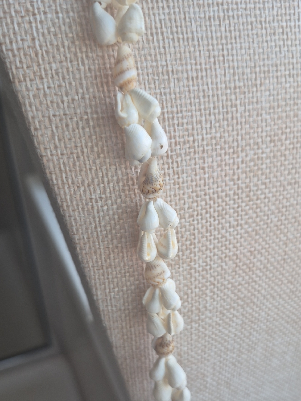 Sea Shell Necklace NEW - Picture 9 of 15